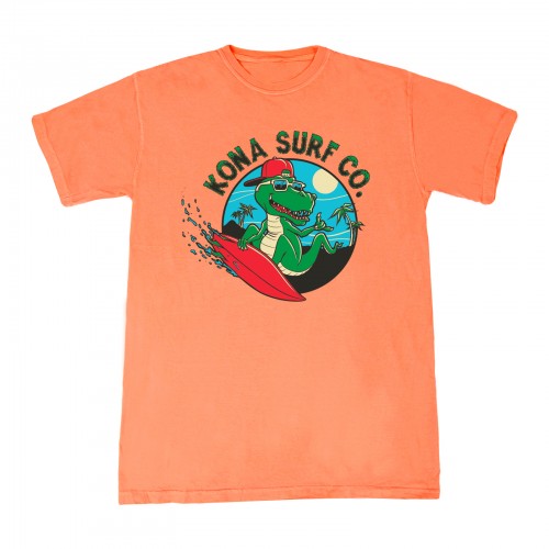 Shreddin T-Rex Boys Vintage Washed T-Shirt in Terracotta