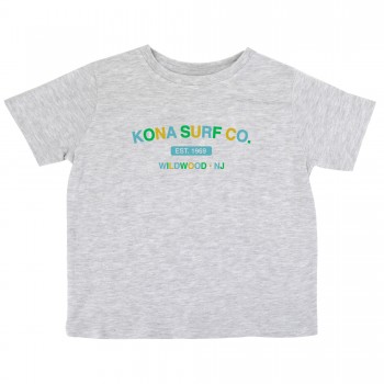 The Signature Toddler Boys T-Shirt in Ash/Blu/Grn/Gld
