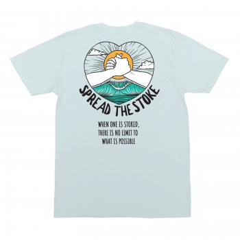 Spread The Stoke Boys T-Shirt in Ice Blue/Orange/Teal/Black/Whi