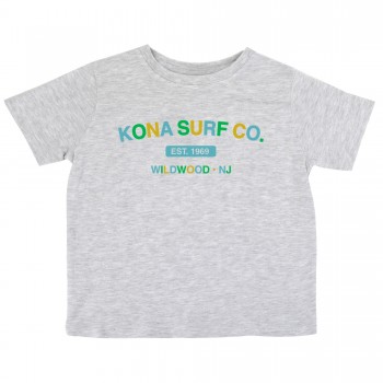 The Signature Infant Boys T-Shirt in Ash/Blu/Grn/Gld